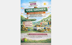 Vide Grenier/Brocante